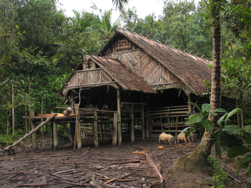 Uma, Rumah Adat